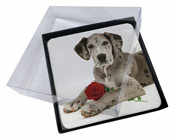 4x Great Dane with Red Rose Picture Table Coasters Set in Gift Box