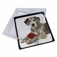 4x Great Dane with Red Rose Picture Table Coasters Set in Gift Box