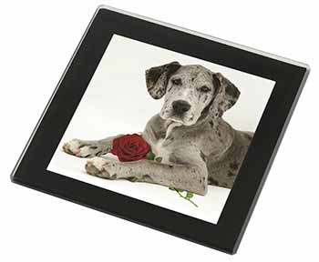 Great Dane with Red Rose Black Rim High Quality Glass Coaster
