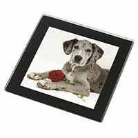 Great Dane with Red Rose Black Rim High Quality Glass Coaster