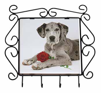 Great Dane with Red Rose Wrought Iron Key Holder Hooks