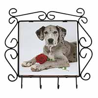 Great Dane with Red Rose Wrought Iron Key Holder Hooks