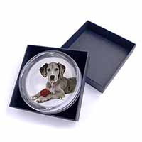 Great Dane with Red Rose Glass Paperweight in Gift Box