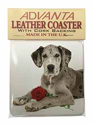 Great Dane with Red Rose Single Leather Photo Coaster