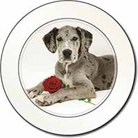 Great Dane with Red Rose Car or Van Permit Holder/Tax Disc Holder