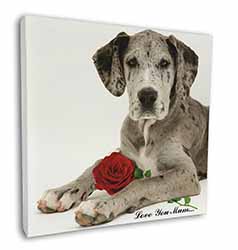 Great Dane+Rose 