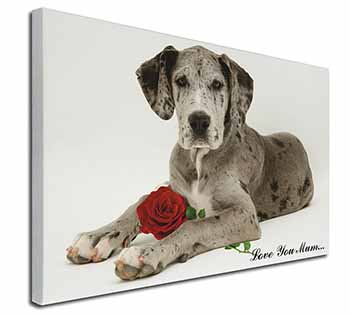 Great Dane+Rose 