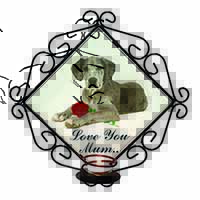Great Dane+Rose 