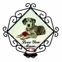 Great Dane+Rose 