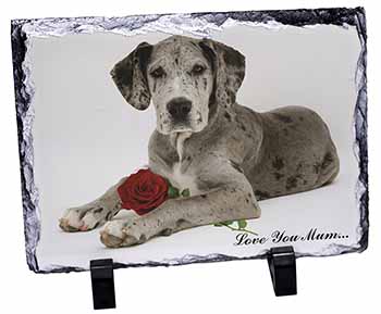 Great Dane+Rose 