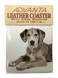 Great Dane Single Leather Photo Coaster