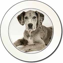 Great Dane Car or Van Permit Holder/Tax Disc Holder