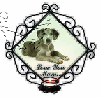 Great Dane 
