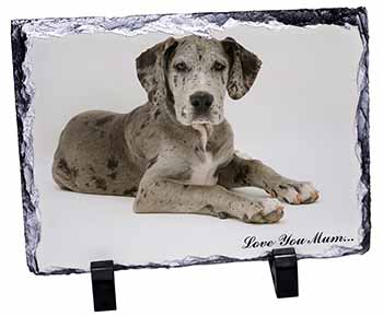 Great Dane 