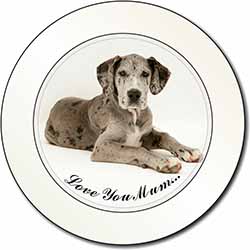 Great Dane 