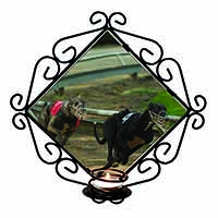 Greyhound Dog Racing Wrought Iron Wall Art Candle Holder