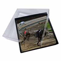 4x Greyhound Dog Racing Picture Table Coasters Set in Gift Box