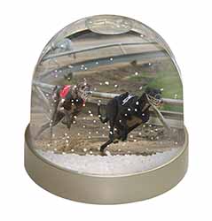 Greyhound Dog Racing Snow Globe Photo Waterball