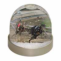 Greyhound Dog Racing Snow Globe Photo Waterball