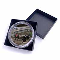 Greyhound Dog Racing Glass Paperweight in Gift Box