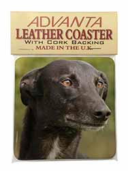 Greyhound Dog Single Leather Photo Coaster