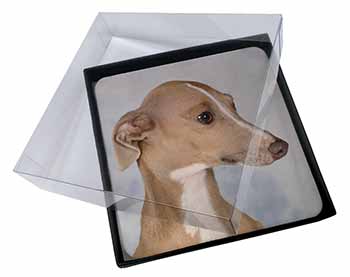4x Greyhound Dog Picture Table Coasters Set in Gift Box - Advanta Group®