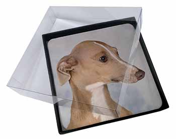 4x Greyhound Dog Picture Table Coasters Set in Gift Box