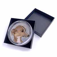 Greyhound Dog Glass Paperweight in Gift Box - Advanta Group®