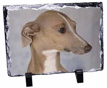Greyhound Dog, Stunning Photo Slate Printed Full Colour - Advanta Group®