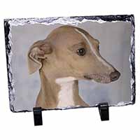 Greyhound Dog, Stunning Photo Slate Printed Full Colour - Advanta Group®