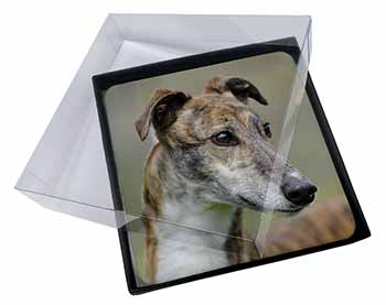 4x Greyhound Dog Picture Table Coasters Set in Gift Box