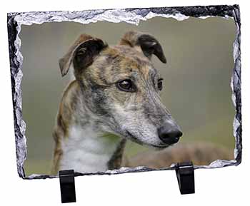 Greyhound Dog, Stunning Photo Slate
