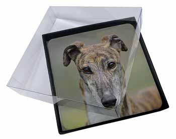 4x Brindle Greyhound Dog Picture Table Coasters Set in Gift Box