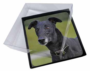 4x Black Greyhound Dog Picture Table Coasters Set in Gift Box