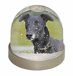 Black Greyhound Dog Photo Snow Globe Waterball