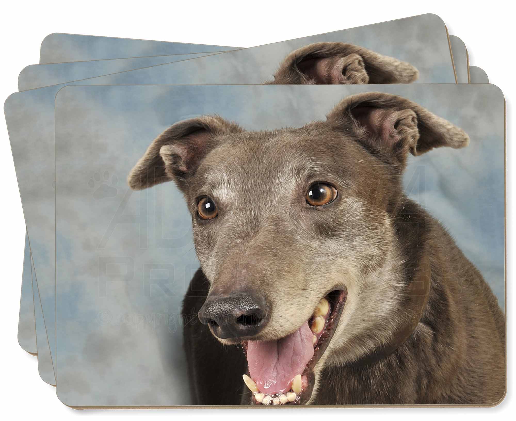 /"Keep Calm and Hug a Greyhound/" Dog Keyring