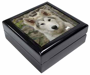 A Pretty Siberian Husky Puppy Dog Keepsake/Jewellery Box