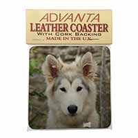 A Pretty Siberian Husky Puppy Dog Single Leather Photo Coaster