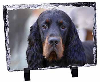 Gordon Setter Dog, Stunning Photo Slate
