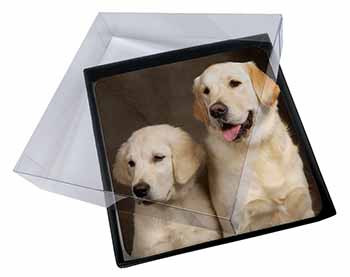 4x Golden Retrievers Picture Table Coasters Set in Gift Box