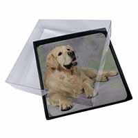 4x Gold Golden Retriever Picture Table Coasters Set in Gift Box - Advanta Group®