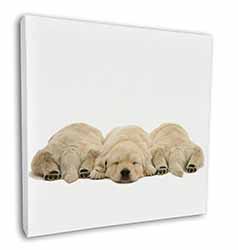 Golden Retriever Puppies Square Canvas 12"x12" Wall Art Picture Print