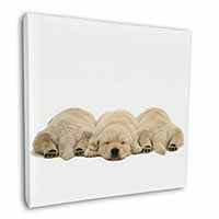 Golden Retriever Puppies Square Canvas 12"x12" Wall Art Picture Print