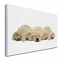 Golden Retriever Puppies Canvas X-Large 30"x20" Wall Art Print