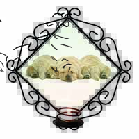 Golden Retriever Puppies Wrought Iron Wall Art Candle Holder