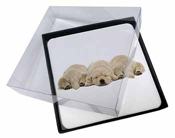 4x Golden Retriever Puppies Picture Table Coasters Set in Gift Box