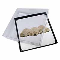 4x Golden Retriever Puppies Picture Table Coasters Set in Gift Box