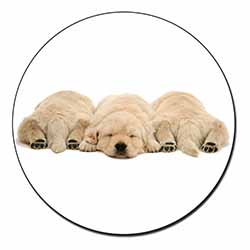 Golden Retriever Puppies Fridge Magnet Printed Full Colour