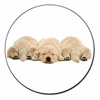 Golden Retriever Puppies Fridge Magnet Printed Full Colour