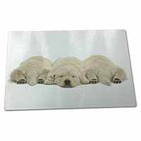 Large Glass Cutting Chopping Board Golden Retriever Puppies
